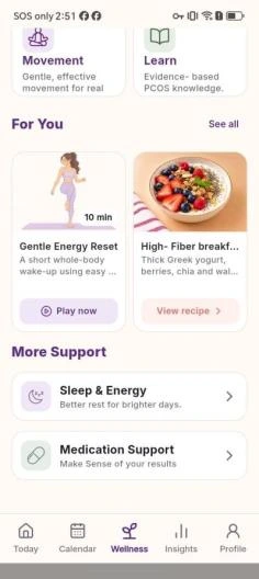 PMOS Wellness hub linking recipes, movement, sleep and medication records