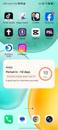 PMOS home-screen widget displaying cycle information